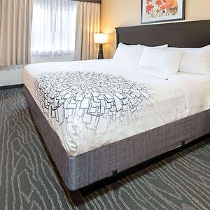 Estudio Deluxe con Cama Queen